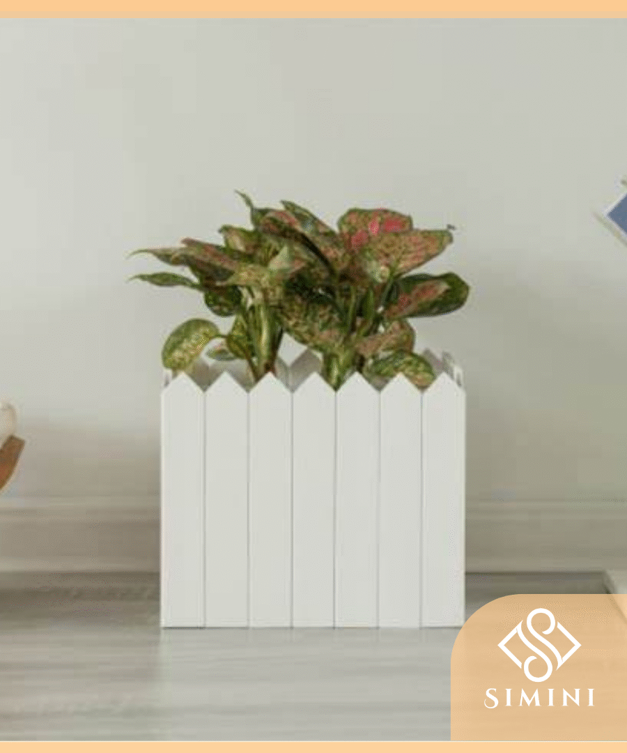 Chậu nhựa composite kích thước 50x20x20cm, cm, 63x25x25 cm và 60x35x35 cm cực bền