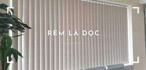 Top mẫu rèm cửa kéo dọc đẹp hiện đại nhất 2025 rèm cửa kéo dọc